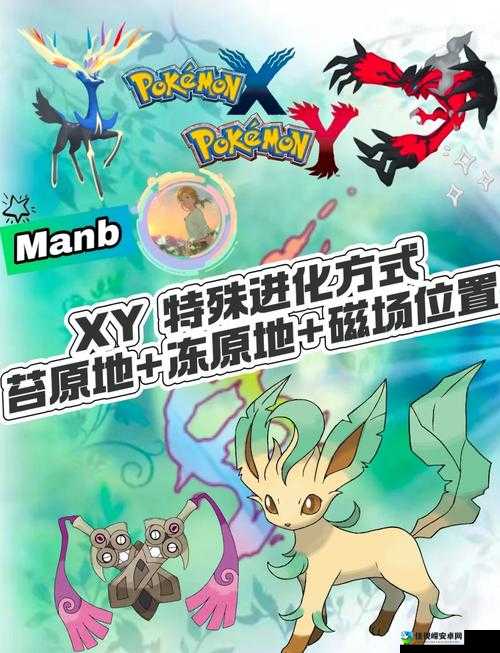 绝美XY限定宠物大公开！这15只神宠错过再等十年？