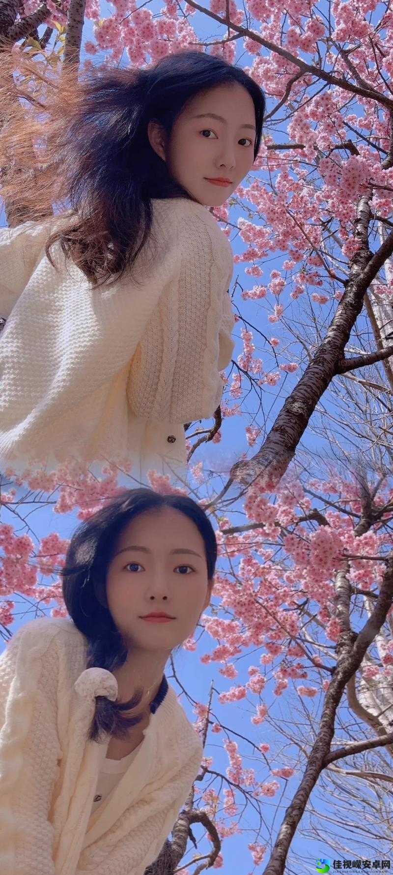 校花🌸给我揉搓双乳91：颜值与自信并存的当代社交密码