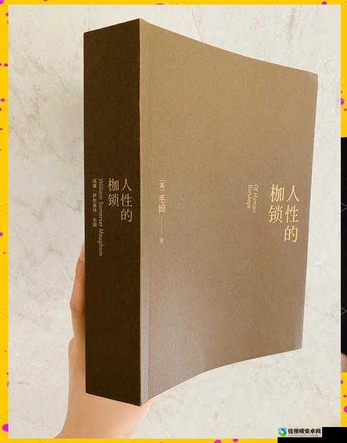 男同被六男摁住暴力事件：人性的试炼与社会的镜子
