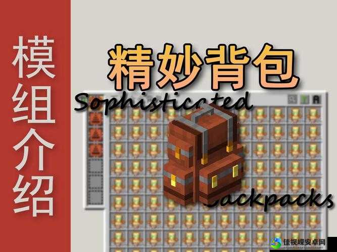 我的世界玩家背包物品大揭秘！这招教你秒查队友装备绝了！
