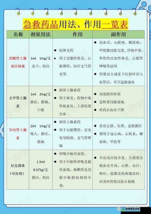 大灾变CDDA05版药品需求全解析！这份救命清单让你生存无忧
