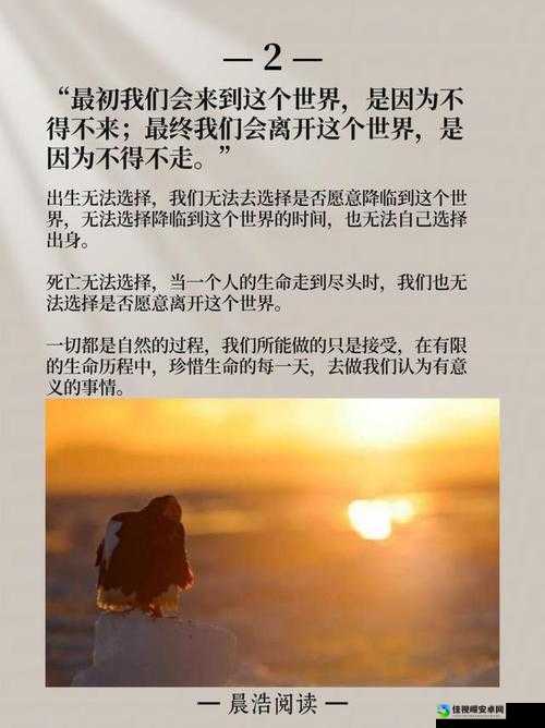 依偌调教丨视频—VK：寻找生命中的那份纯粹与方向