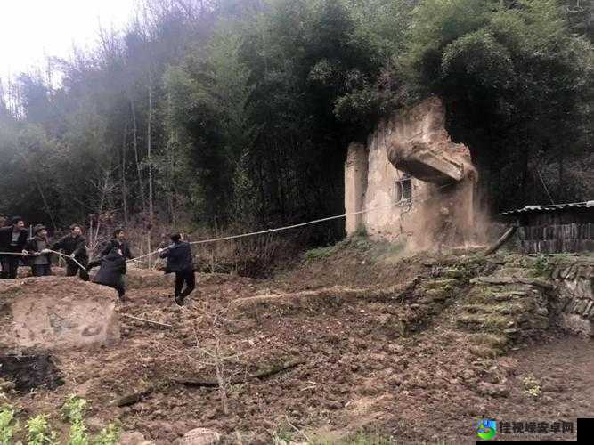农村乱大交做爰事件背后的真相：一场被误解的乡野脉动
