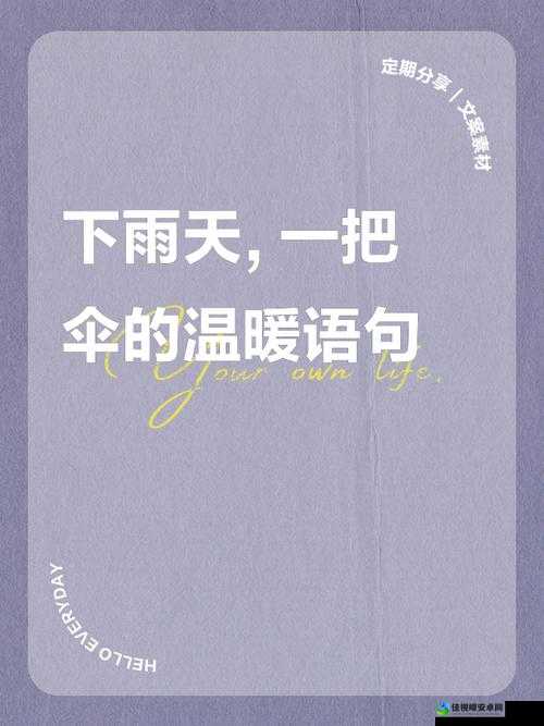陌生人递来的雨伞，意外温暖了整个雨季