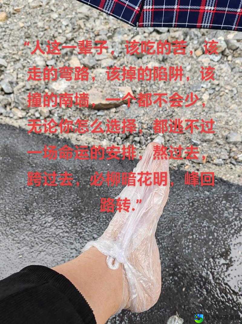 山区陷阱记忆庄园血泪教训！这5个必看避坑攻略让你少走30小时弯路