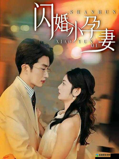 四妻子在线影院电视剧免费观看：一场婚姻抉择的人性试验