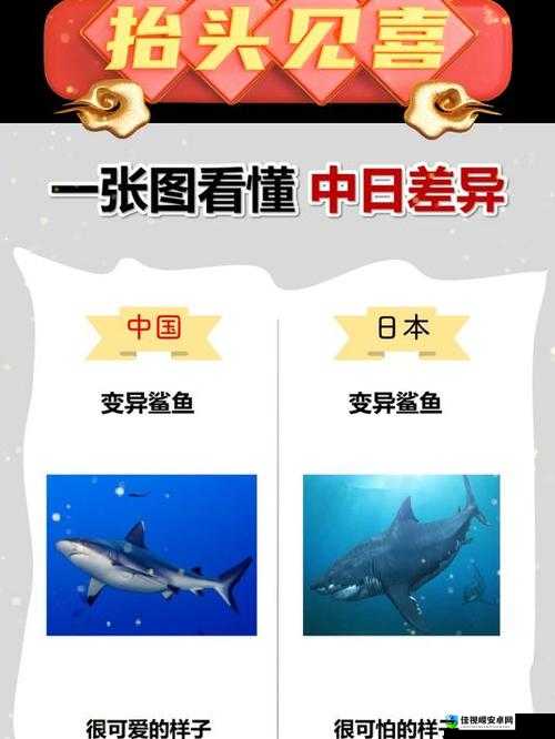 亚洲日产乱码一二三区别是什么？深度解析背后文化差异