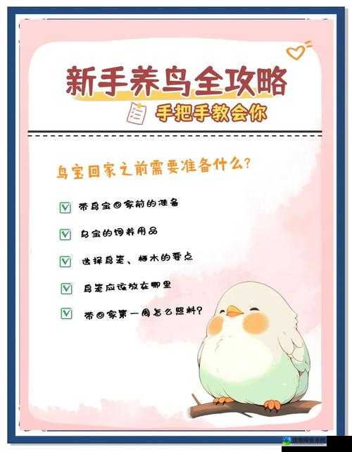 饥荒养鸟攻略大公开！新手必看的保姆级鸟儿养成技巧
