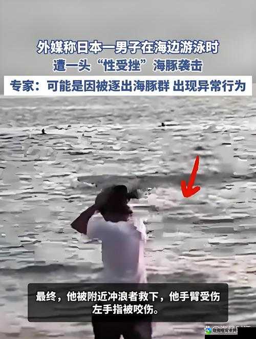 海豚的粗大撞进去了H！这起事件背后的惊人真相