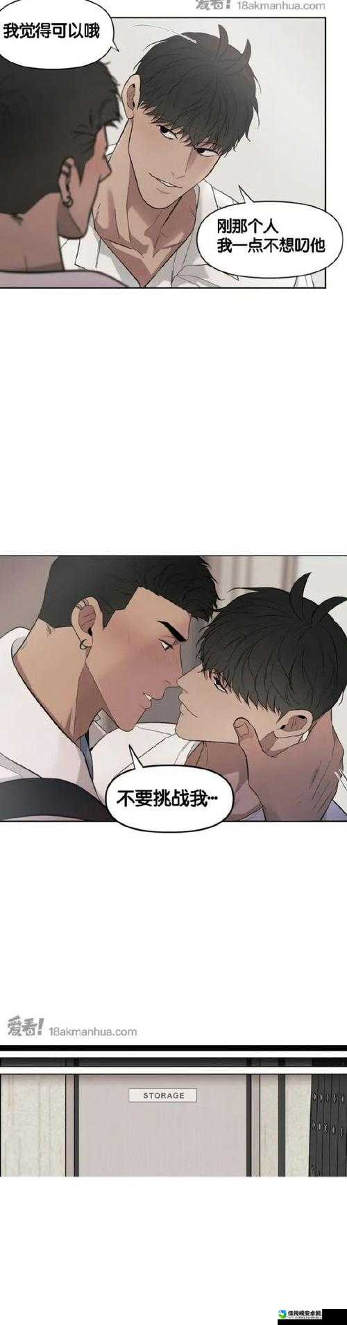 funny巨大粗爽GAY动漫：爆笑与温情碰撞的治愈系动画推荐