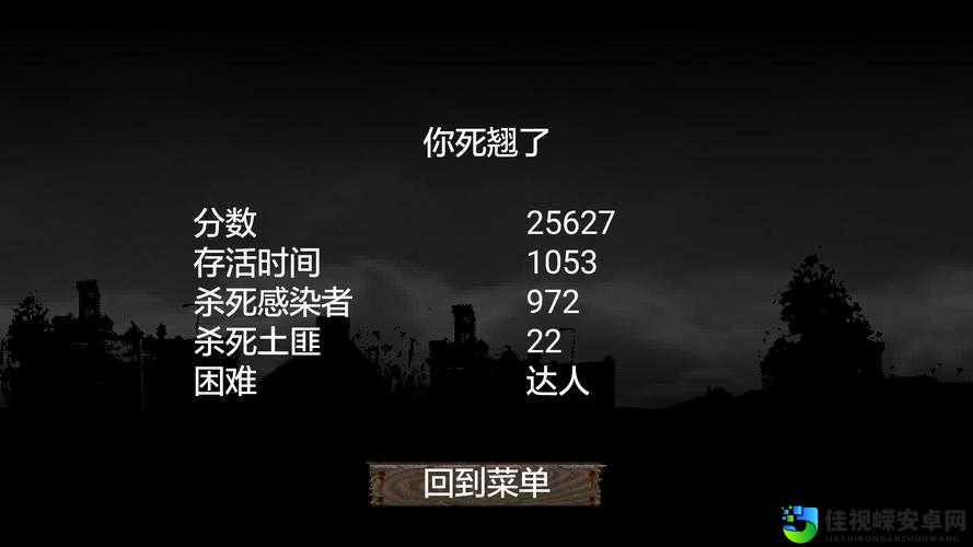 DyZ独立版必看！零基础也能快速上手的生存秘籍