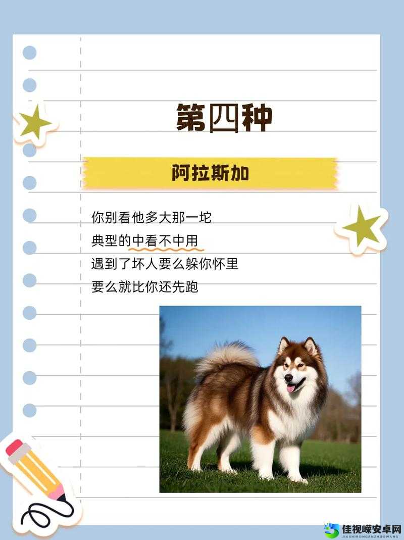 看门狗快速刷经验秘籍！3天练满级不用肝爆！绝了必看攻略
