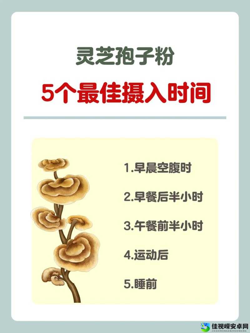 孢子秘籍大公开！3天速成法让你采集效率翻倍_必看攻略
