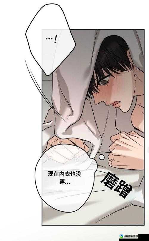 花蒂调教与东宫禁脔(H)(P0)：当文化认同遇见情感边界