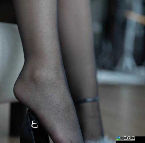 闻妓女发黑酸臭丝袜脚事件背后的深层隐忧与社会反思