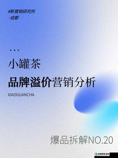 RenecoVill多少钱一双？优雅背后的品质溢价解析