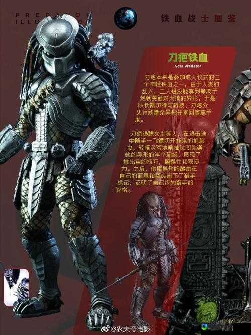 异形大战铁血战士必看！铁血篇血战技巧+神级操作全解析